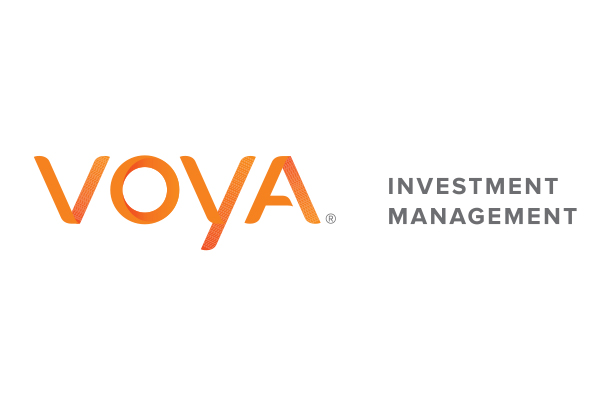 voyainvestments